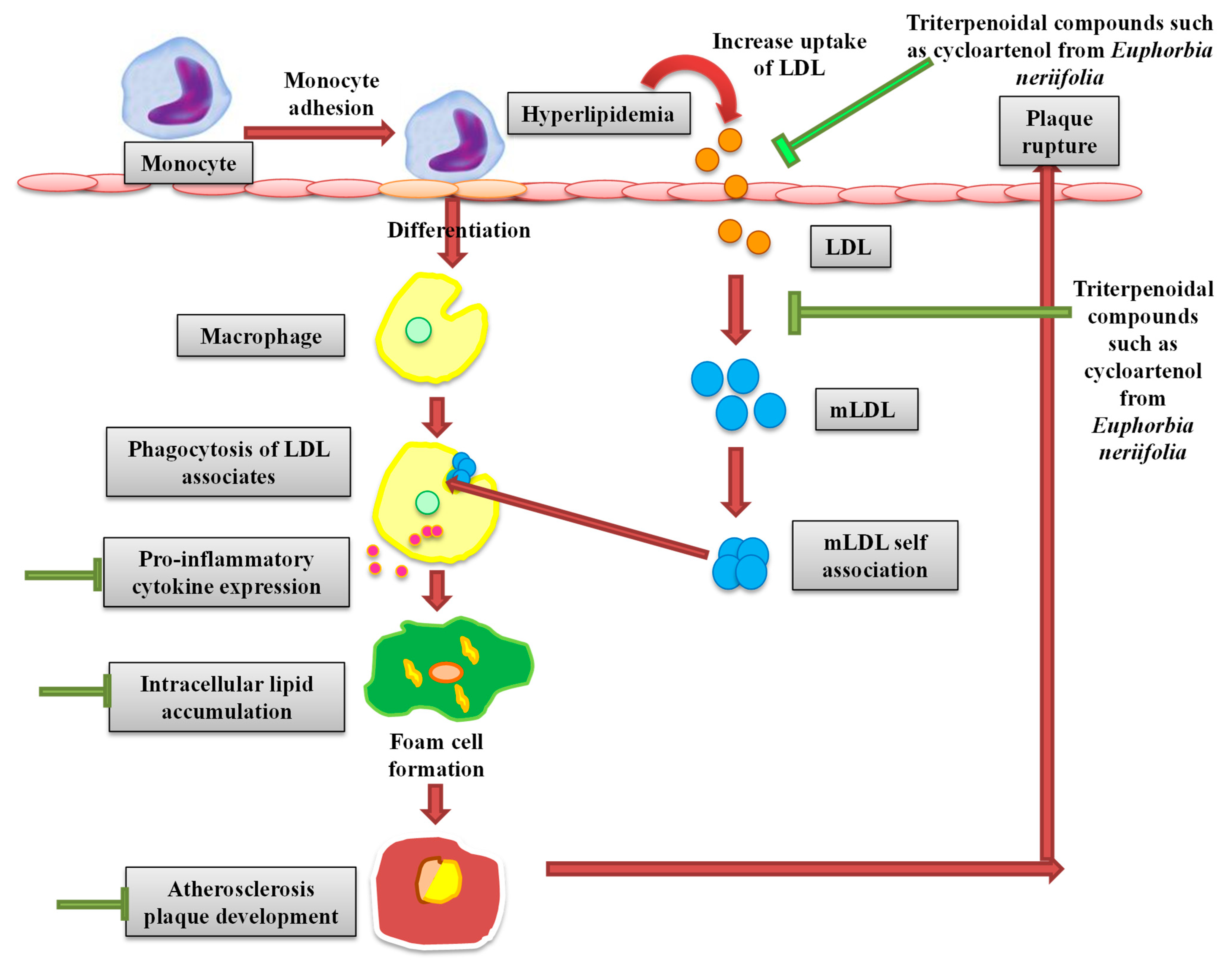 Sustainability 15 01225 g008