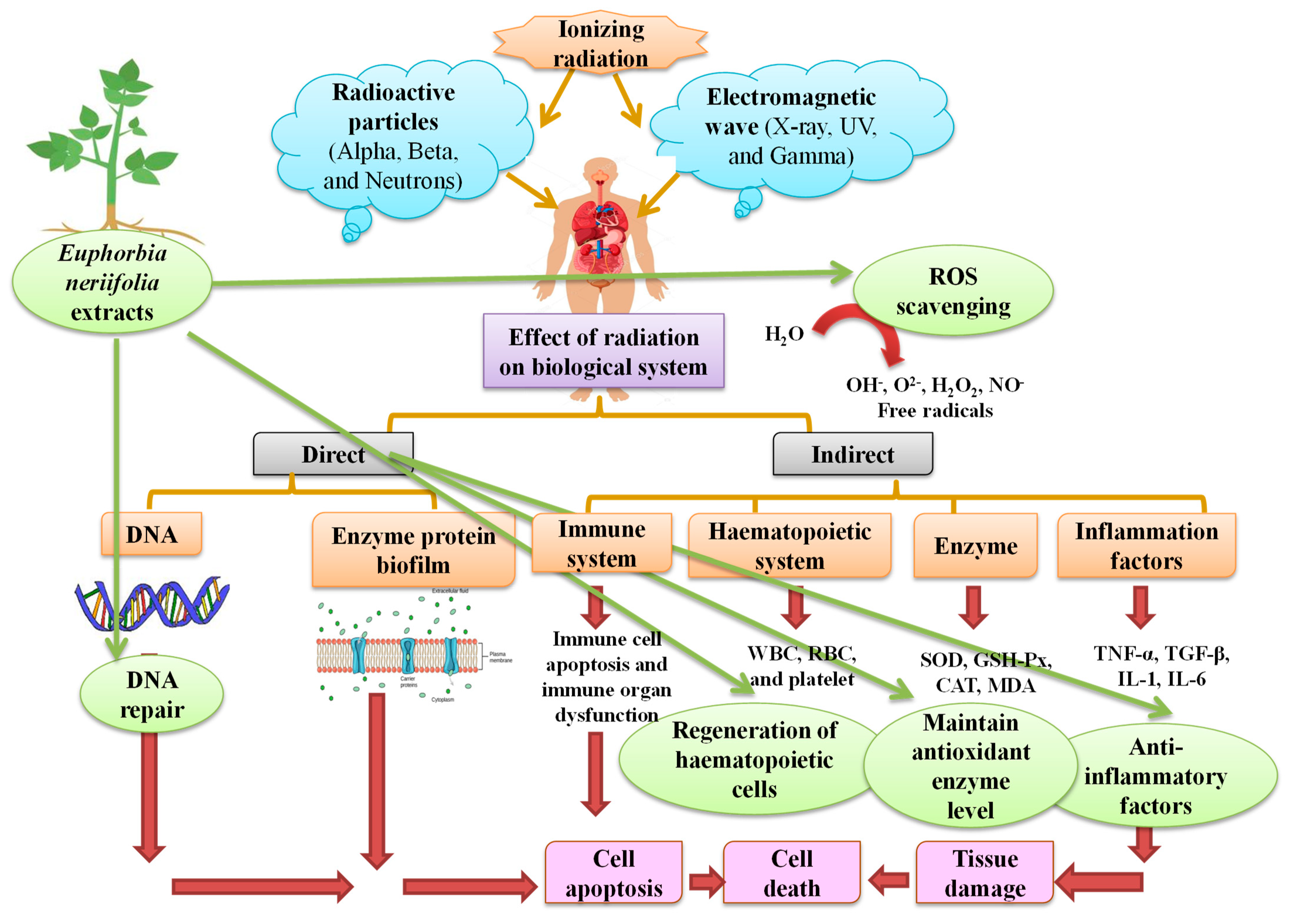 Sustainability 15 01225 g009