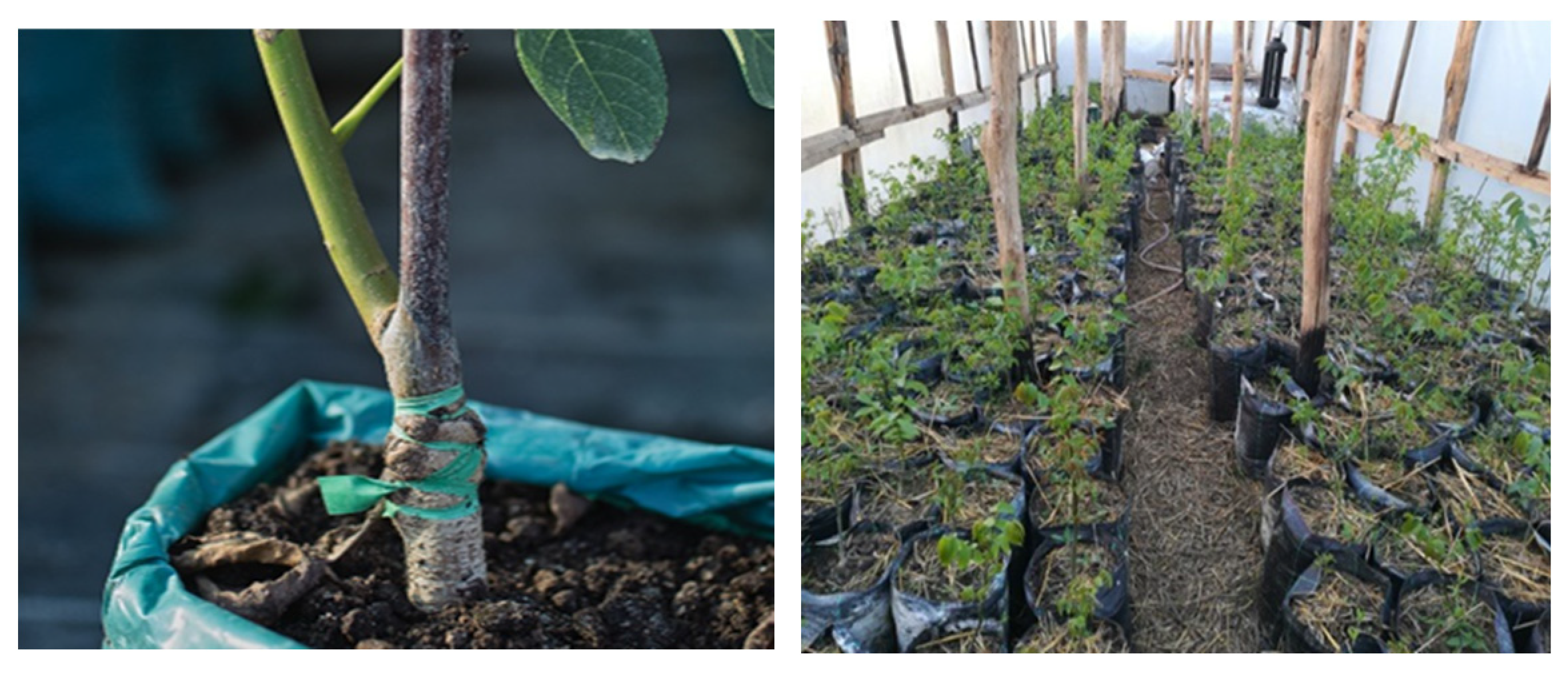 Sustainability 15 01244 g003 Sustainability 15 01244 g003