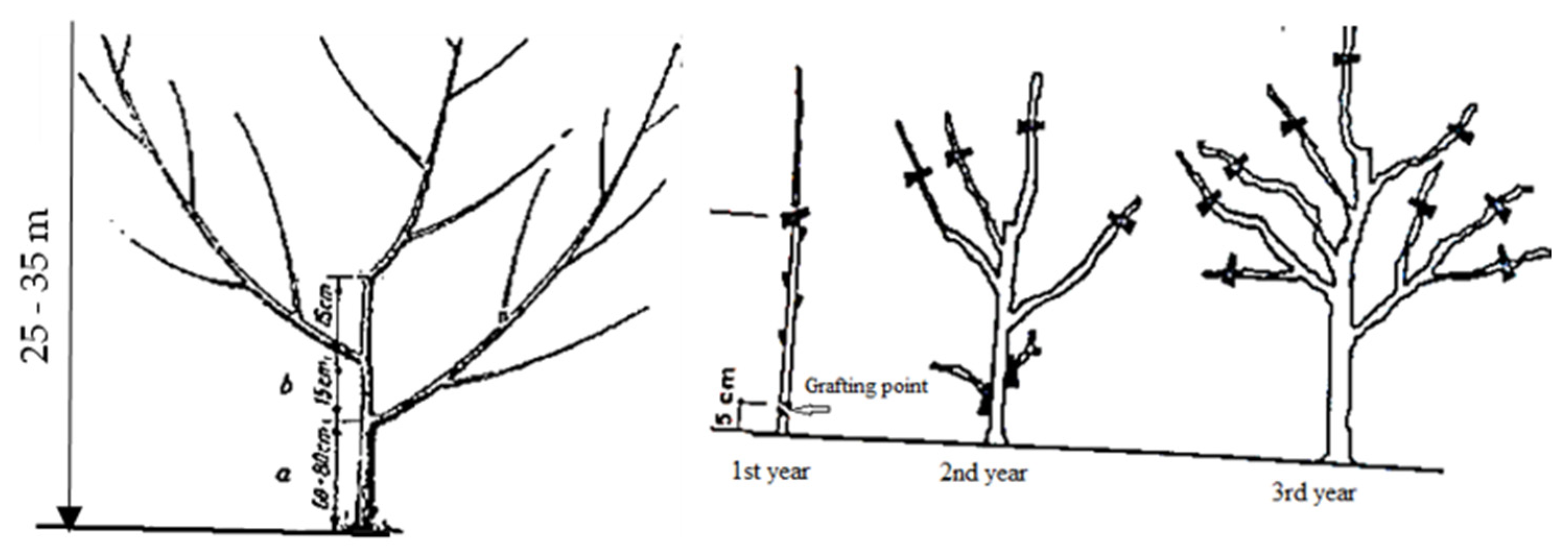 Sustainability 15 01244 g005 Sustainability 15 01244 g005