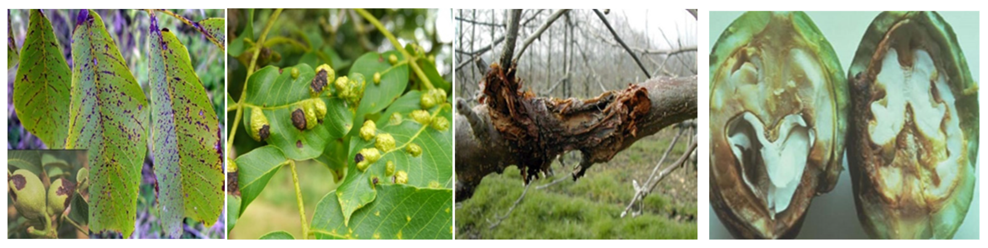 Sustainability 15 01244 g008 Sustainability 15 01244 g008