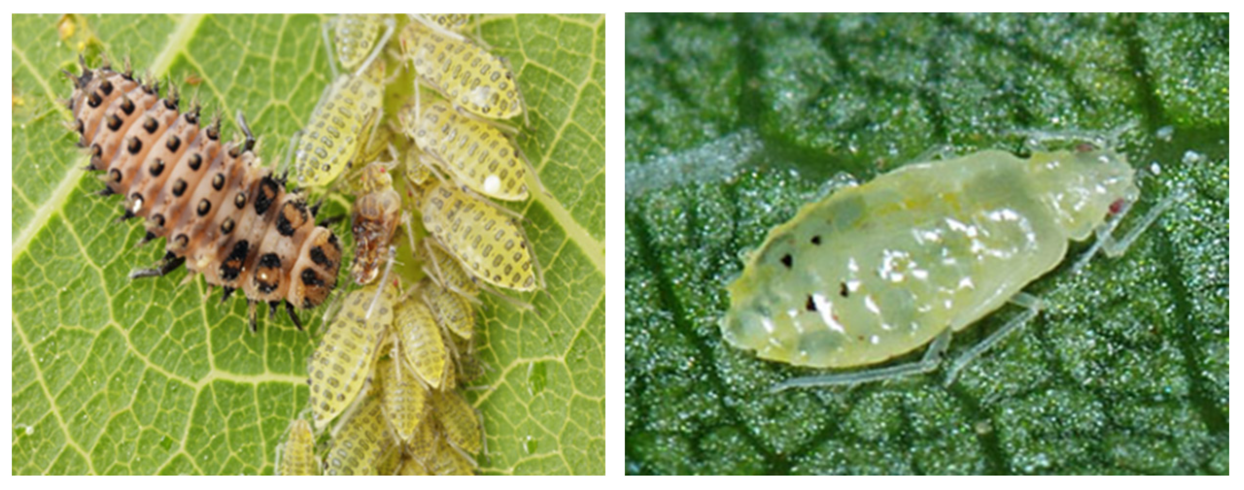 Sustainability 15 01244 g009 Sustainability 15 01244 g009