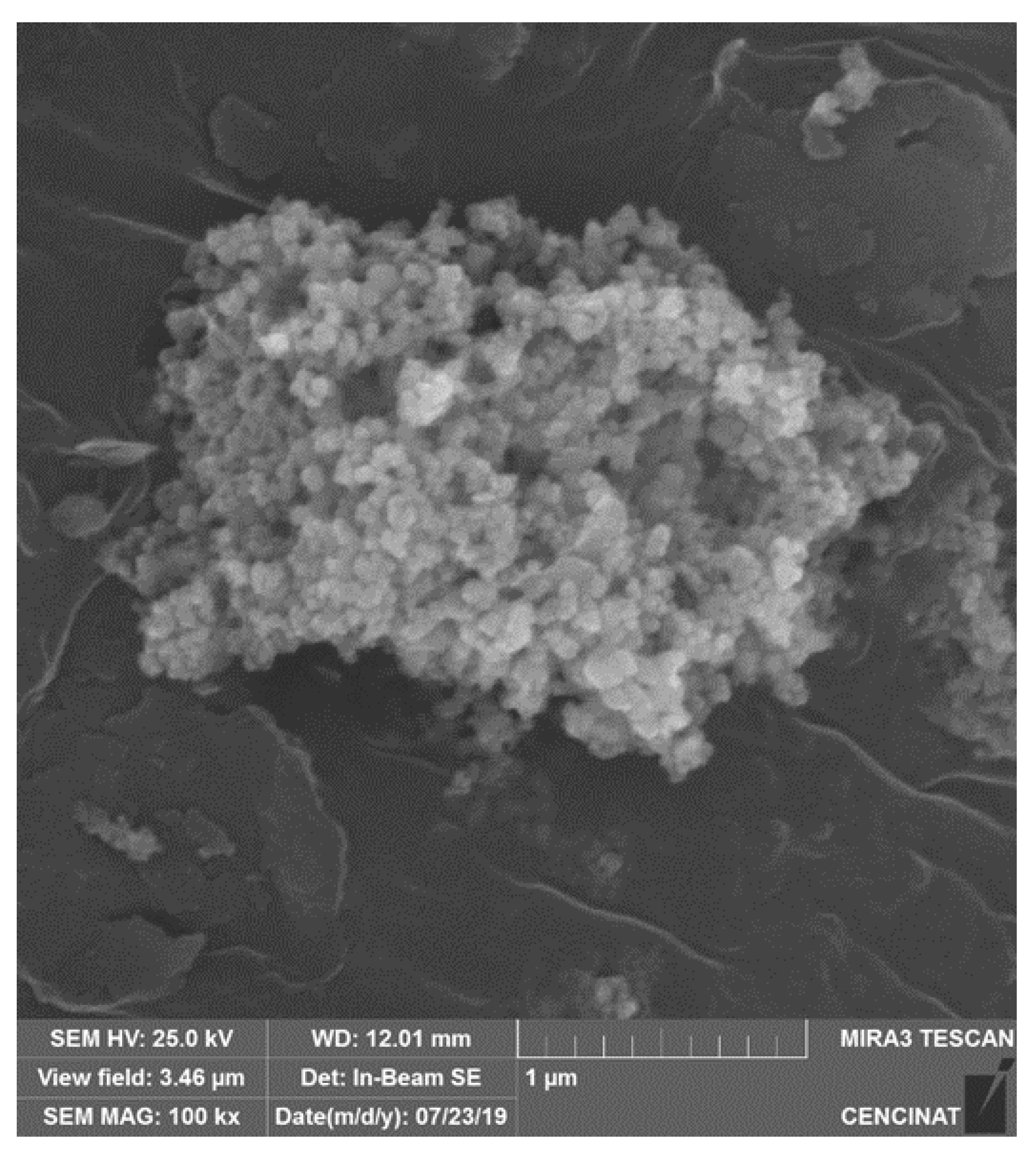 Sustainability 15 01286 g010