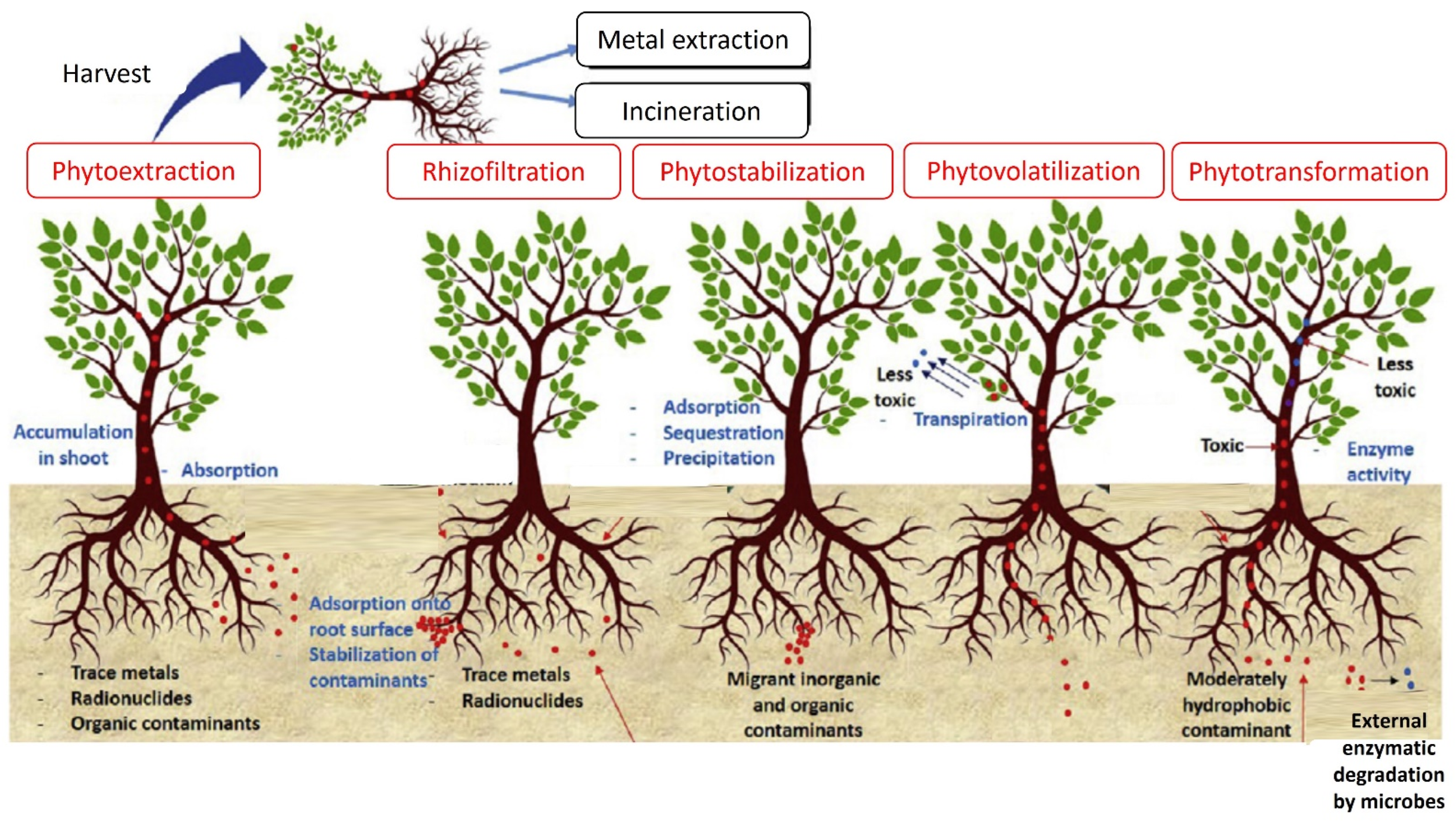 Sustainability 15 01290 g002 Sustainability 15 01290 g002