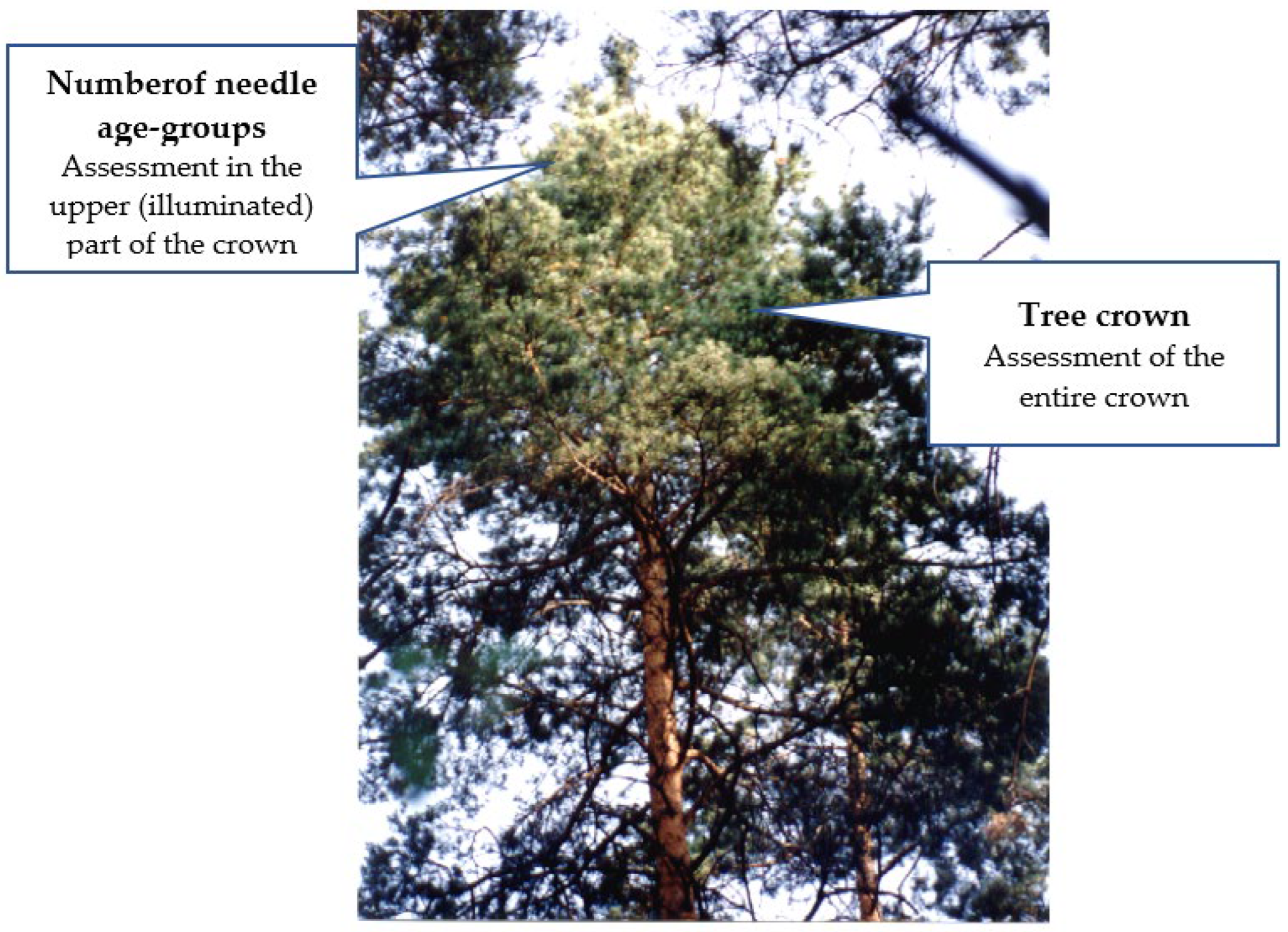 Sustainability 15 01307 g003 Sustainability 15 01307 g003