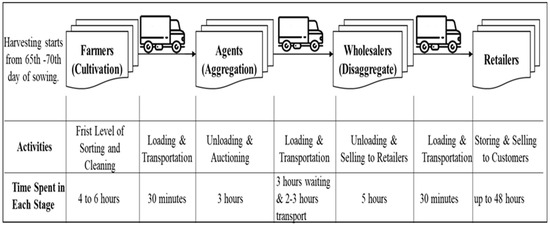 Prospective Need For: Vegetable Seed Storage - Best Cold Storage In India