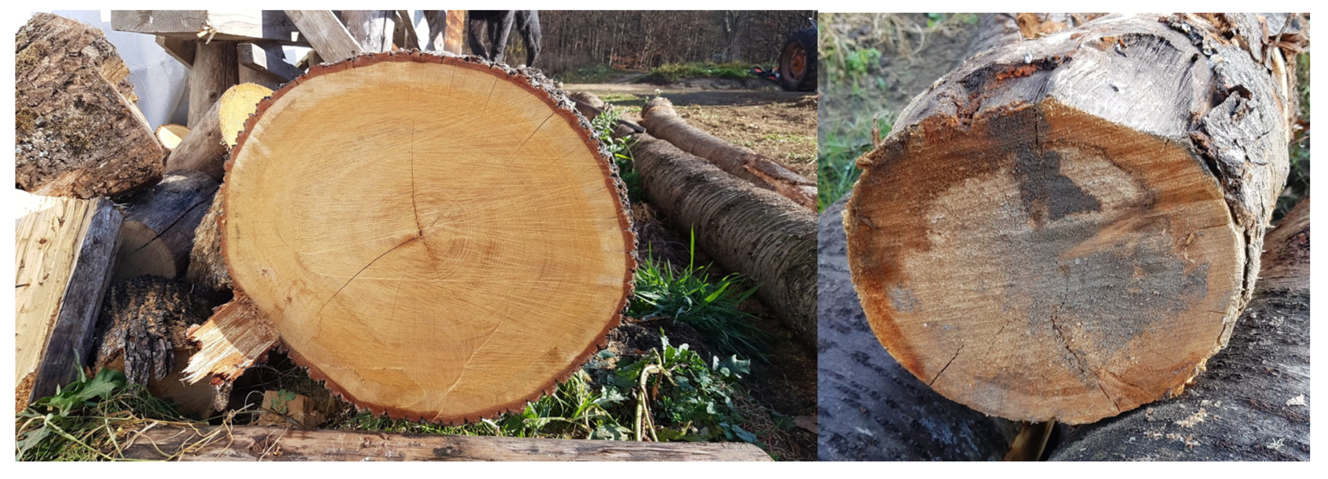 Sustainability 15 01344 g009