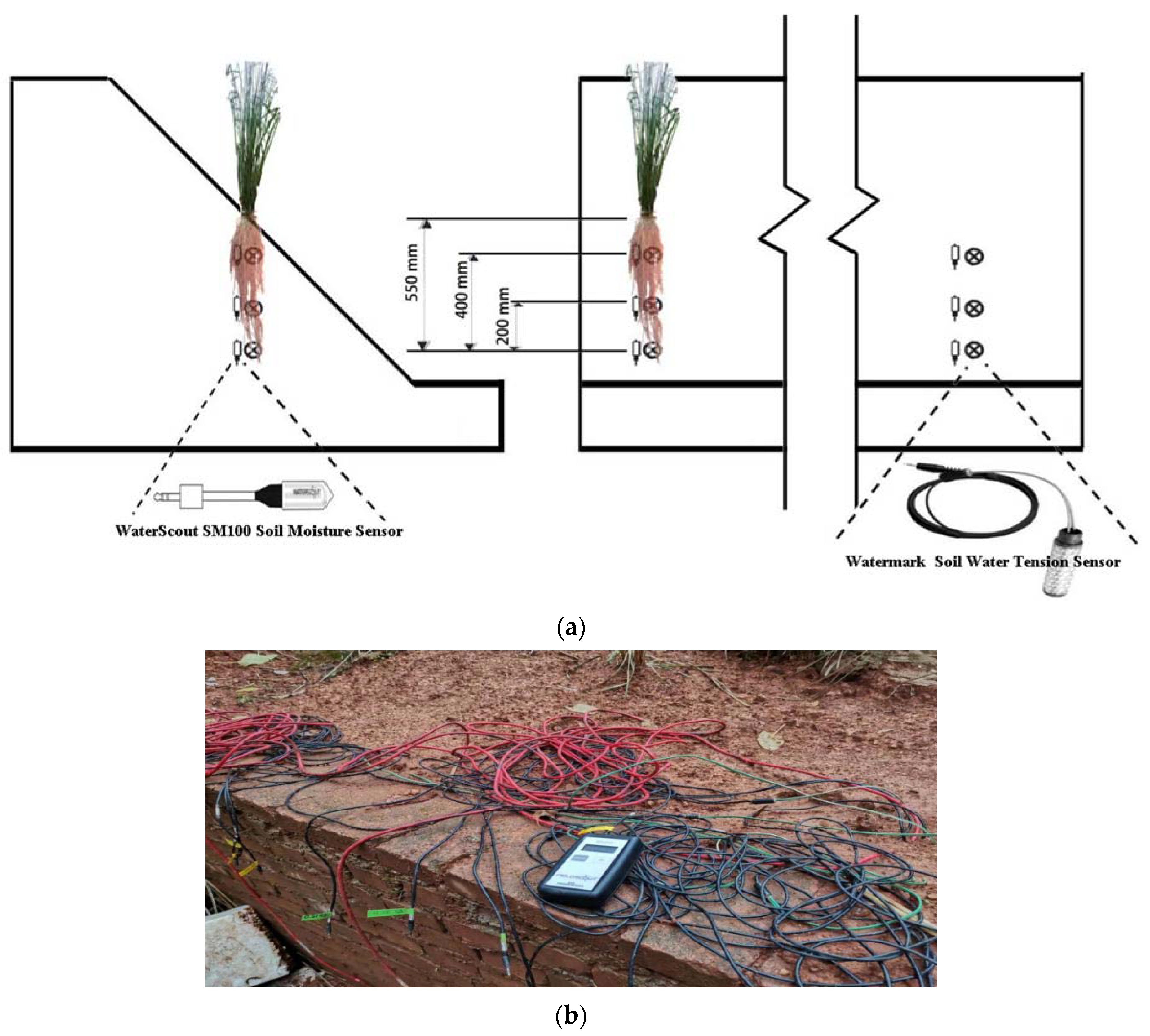 Sustainability 15 01365 g003 Sustainability 15 01365 g003