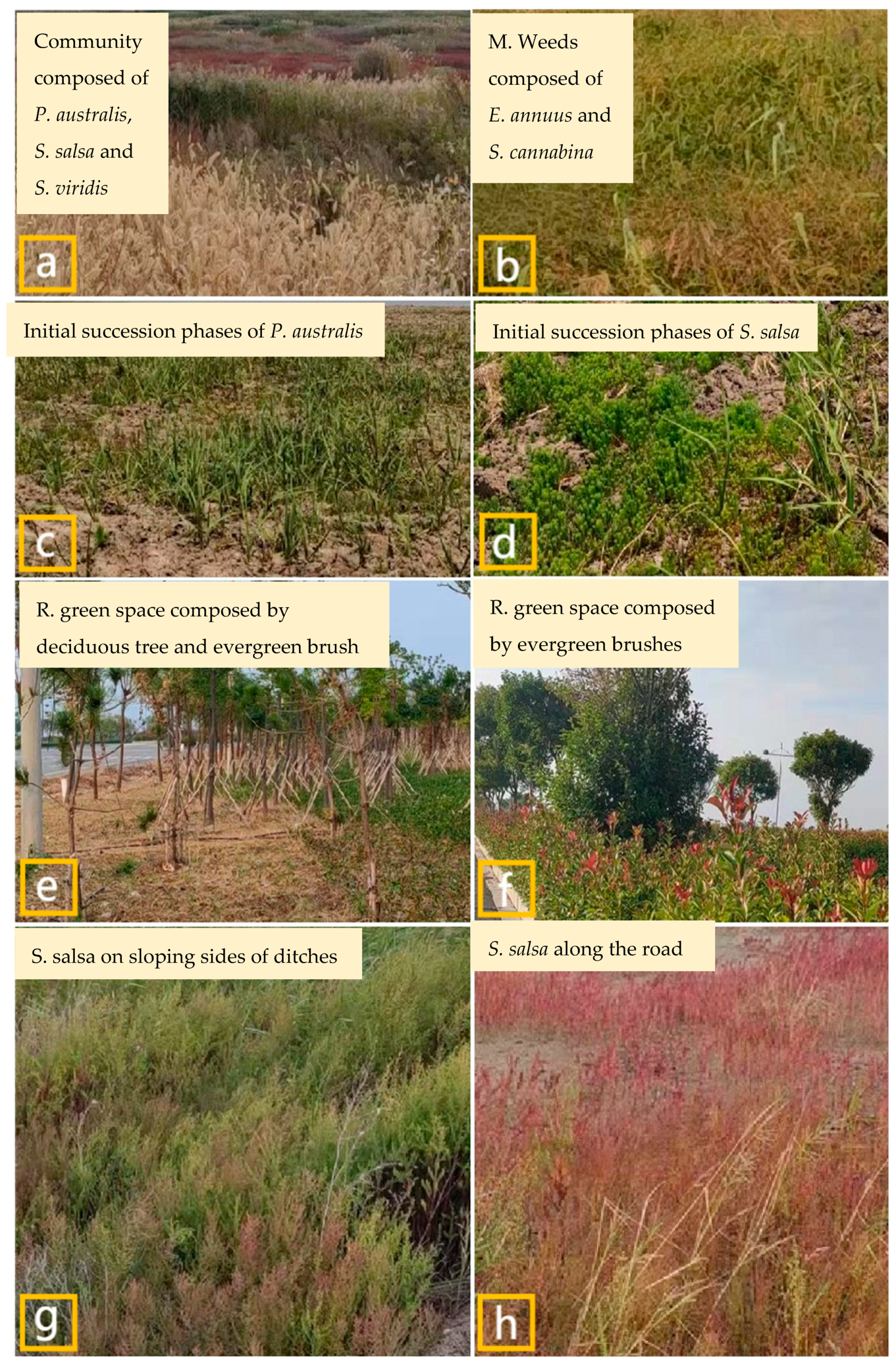 Sustainability 15 01373 g009 Sustainability 15 01373 g009