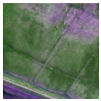 Sustainability 15 01373 i005 Sustainability 15 01373 i005