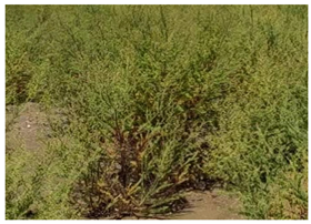 Sustainability 15 01373 i006 Sustainability 15 01373 i006