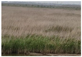 Sustainability 15 01373 i010 Sustainability 15 01373 i010