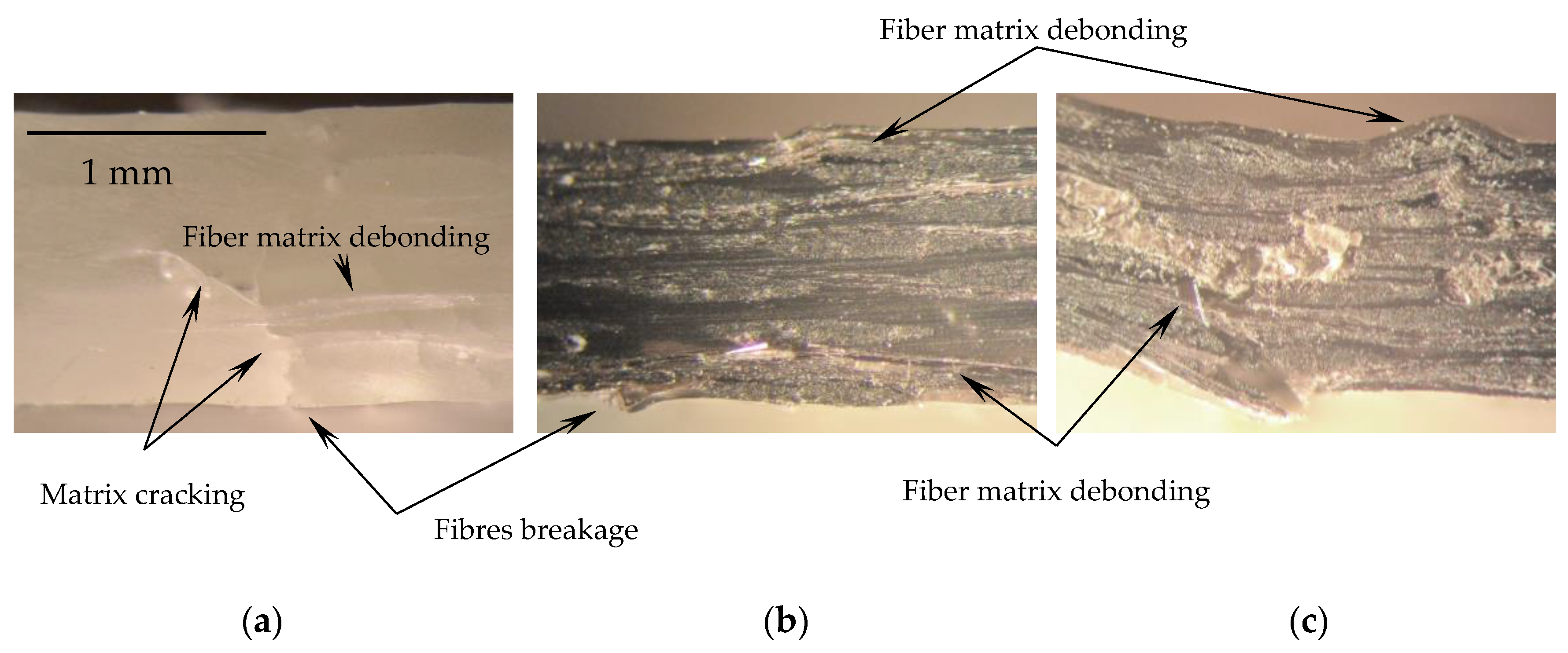 Sustainability 15 01396 g006