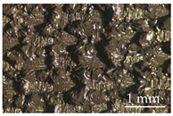 Sustainability 15 01396 i009