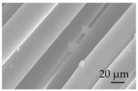 Sustainability 15 01396 i020