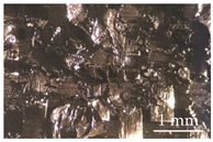 Sustainability 15 01396 i025