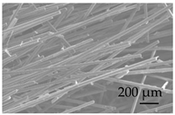 Sustainability 15 01396 i038