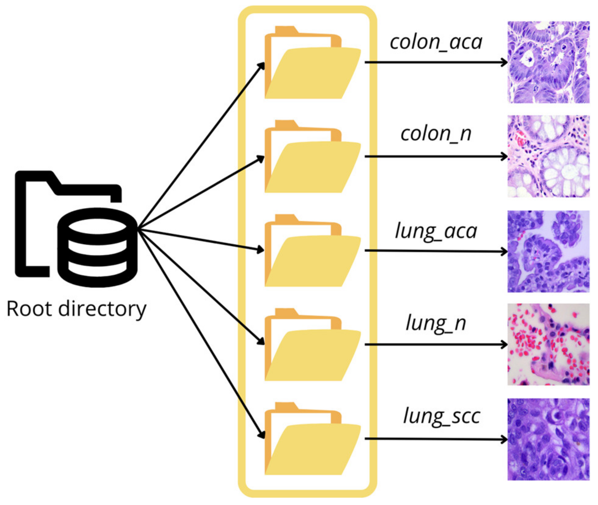Sustainability 15 01399 g001 550