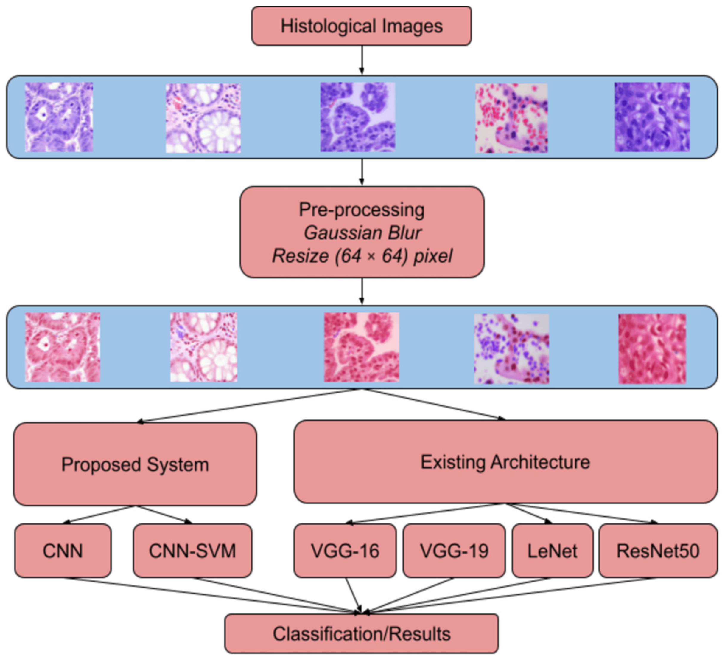 Sustainability 15 01399 g002 550