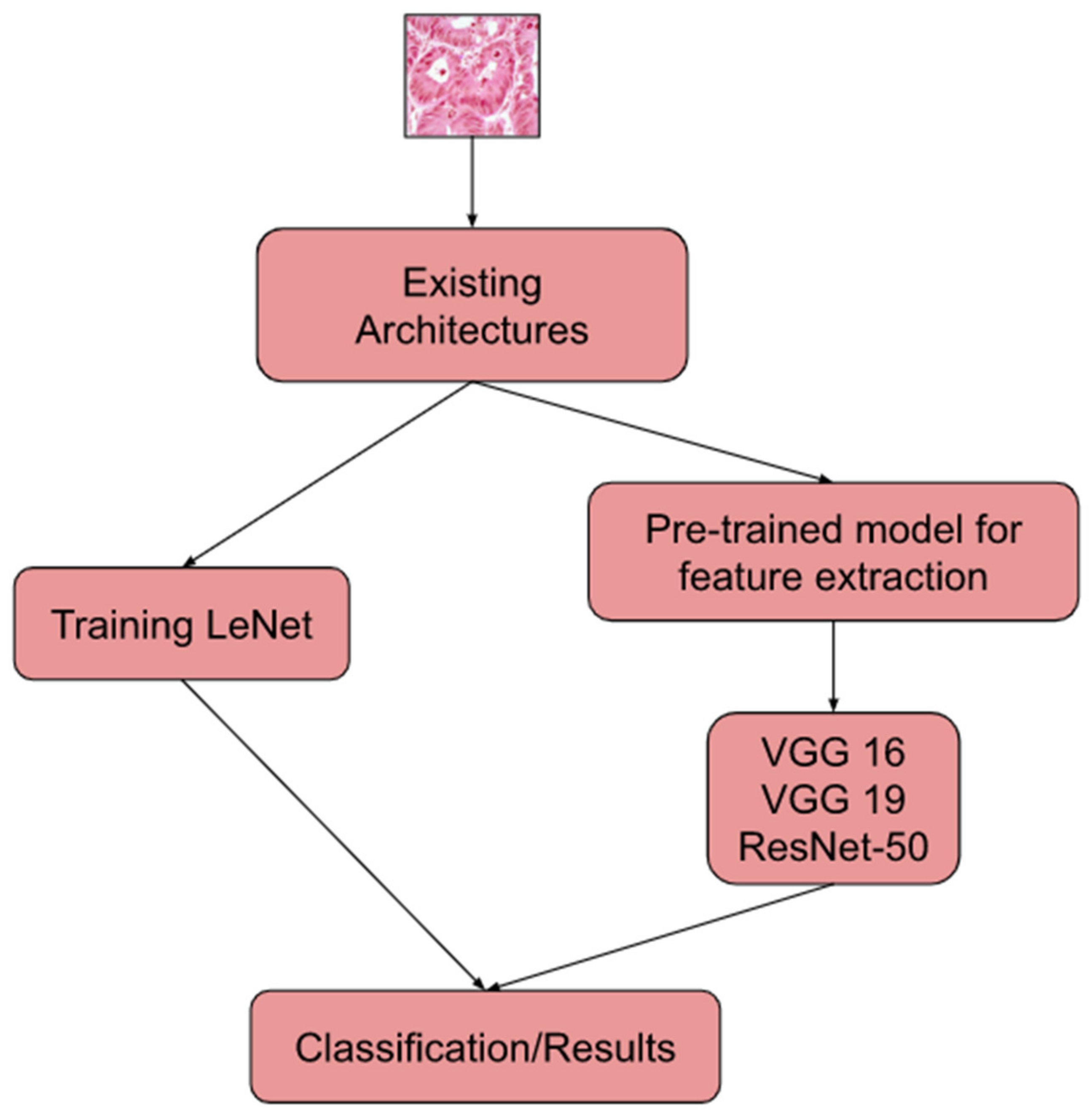 Sustainability 15 01399 g006 550