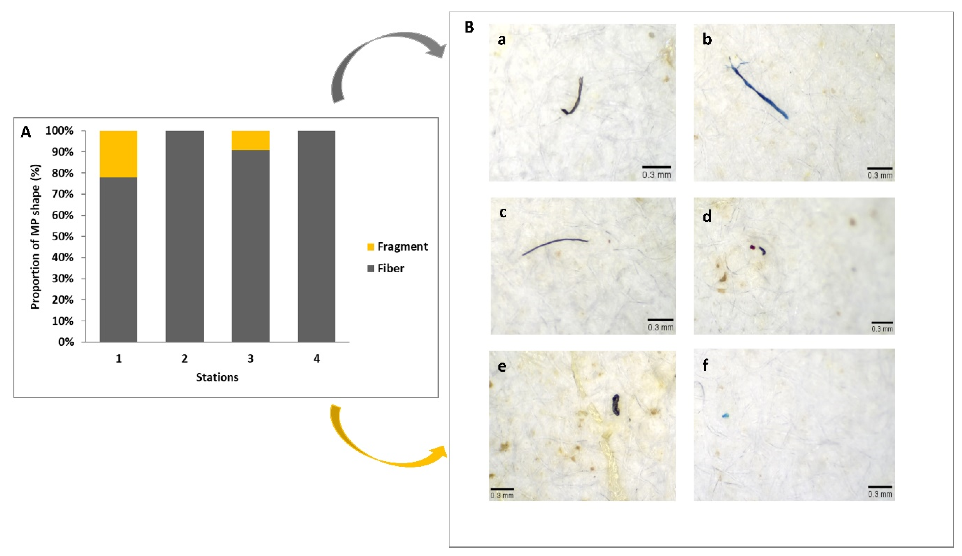 Sustainability 15 01422 g005