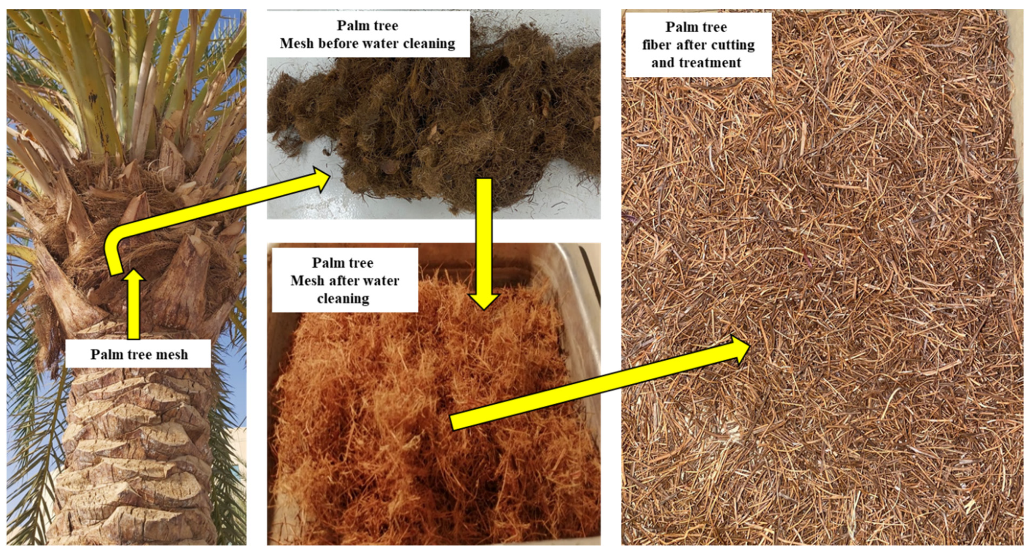 Sustainability 15 01433 g001 Sustainability 15 01433 g001