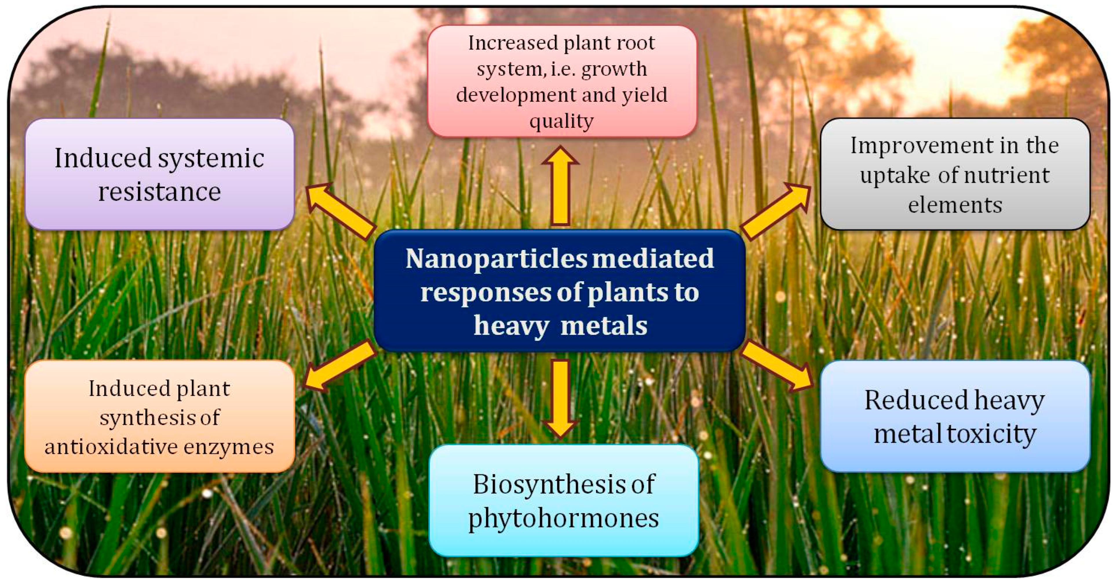 Sustainability 15 01446 g002 Sustainability 15 01446 g002