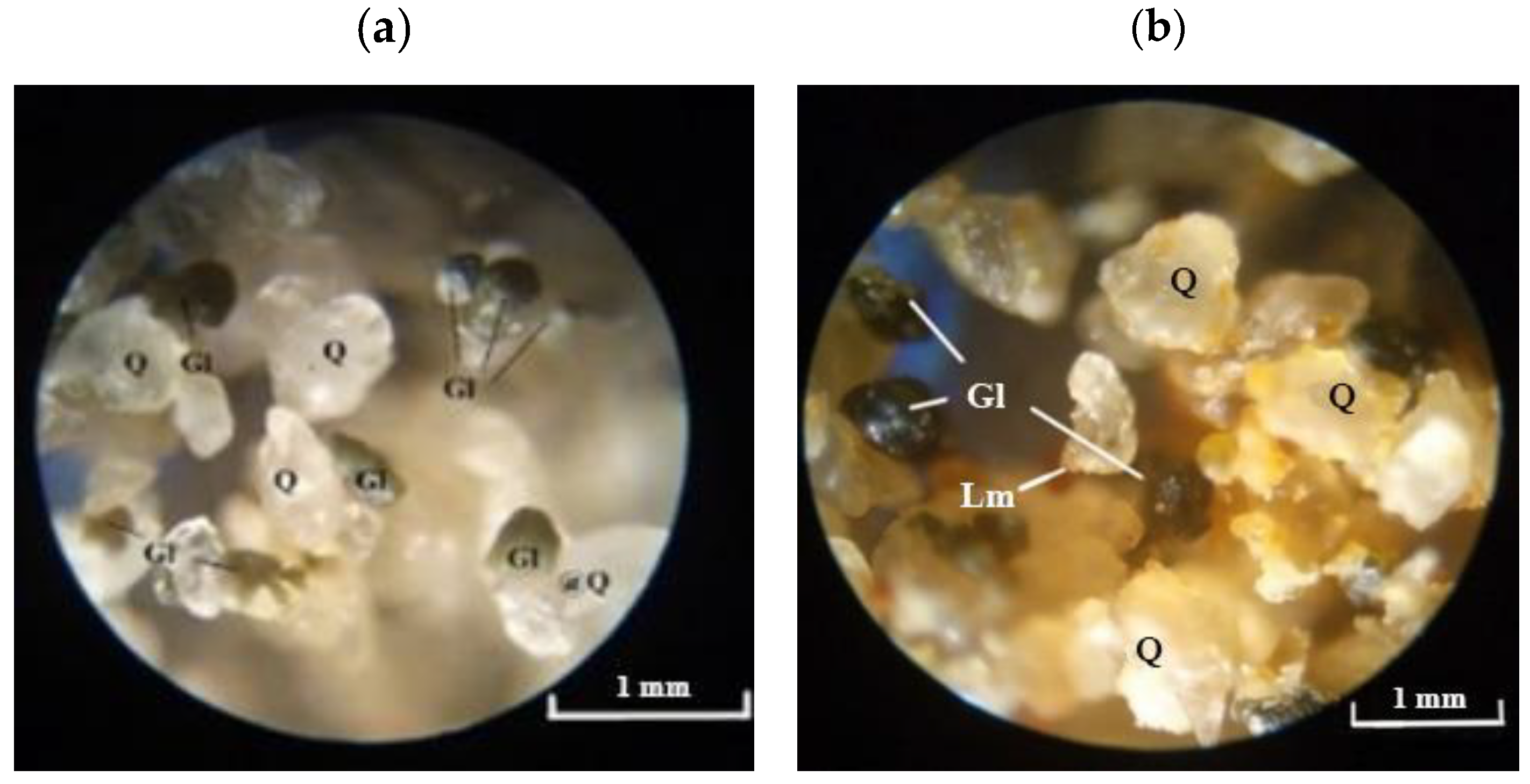 Sustainability 15 01489 g006
