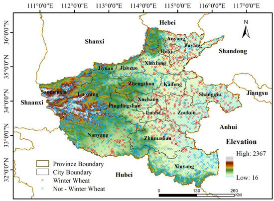 Winter Wheat Extraction Using Time-Series Sentinel-2 Data