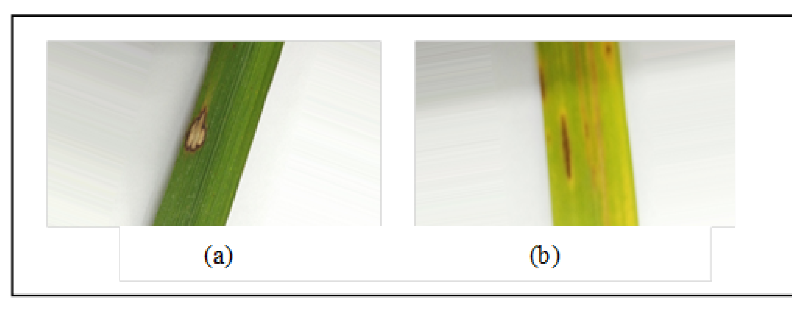 Sustainability 15 01502 g002 550