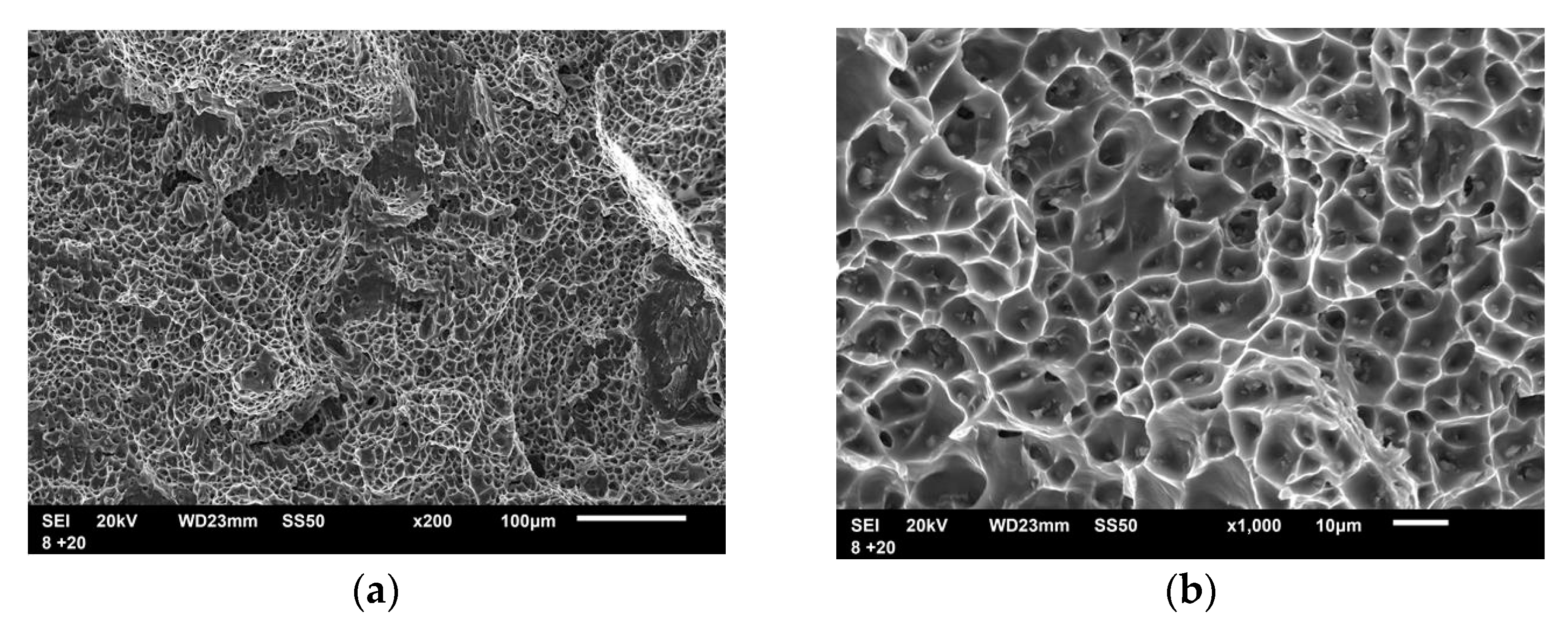 Sustainability 15 01550 g010