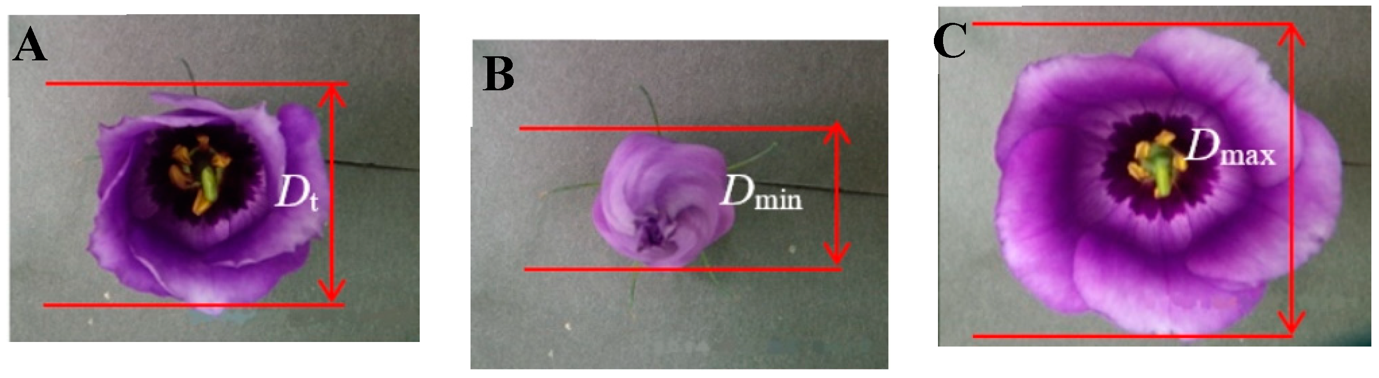 Sustainability 15 01578 g001 Sustainability 15 01578 g001
