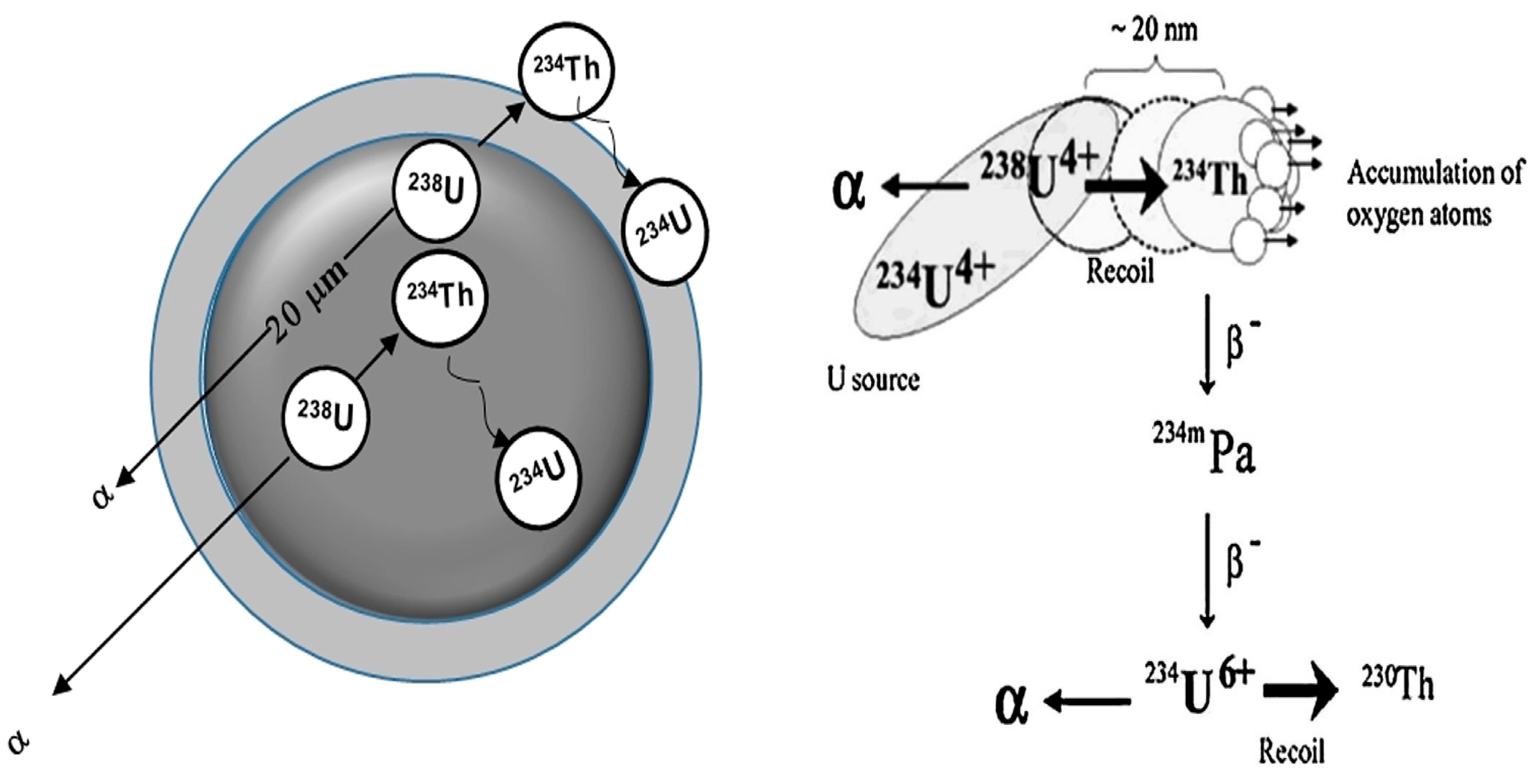 Sustainability 15 01590 g007