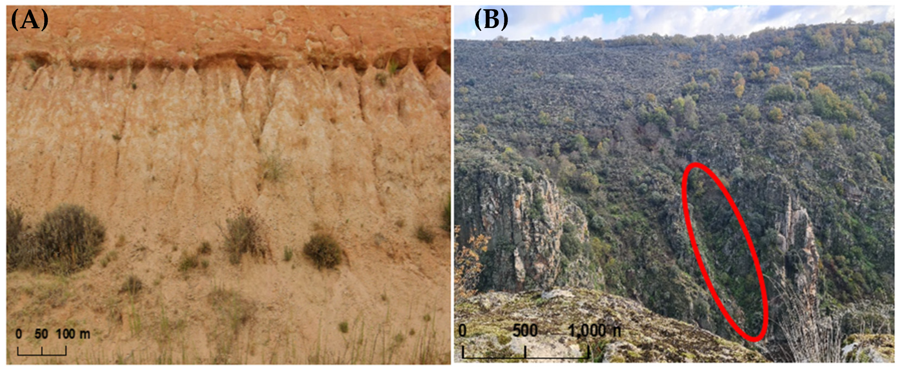 Sustainability 15 01627 g005 Sustainability 15 01627 g005