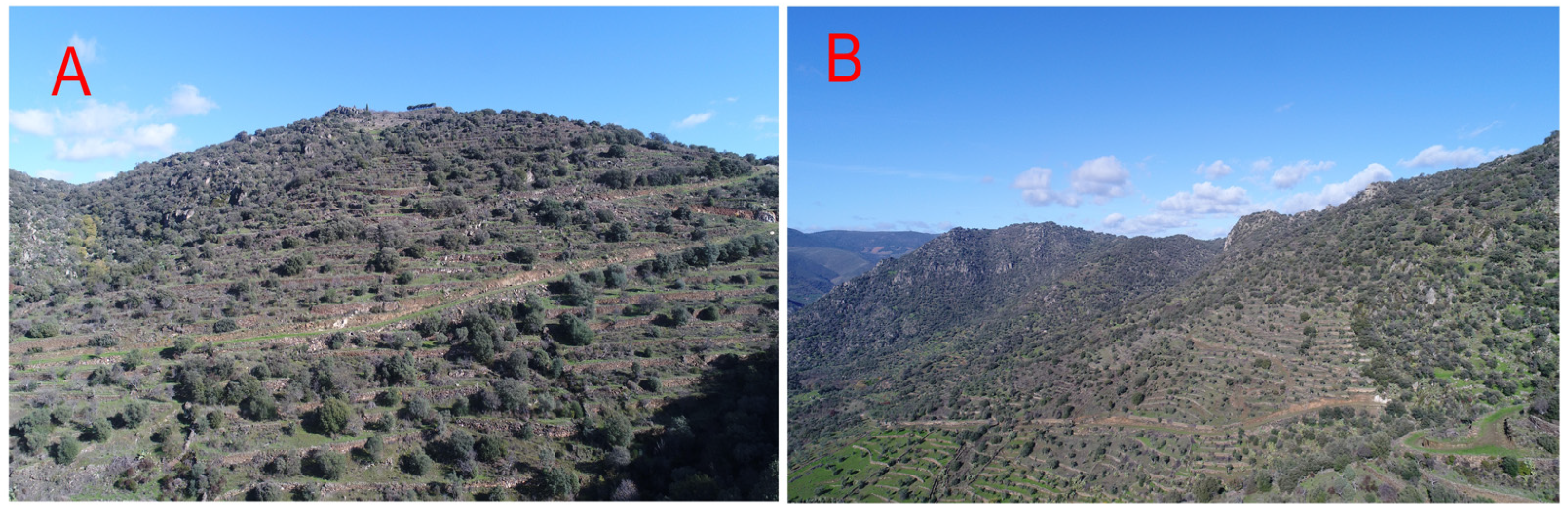 Sustainability 15 01627 g008 Sustainability 15 01627 g008