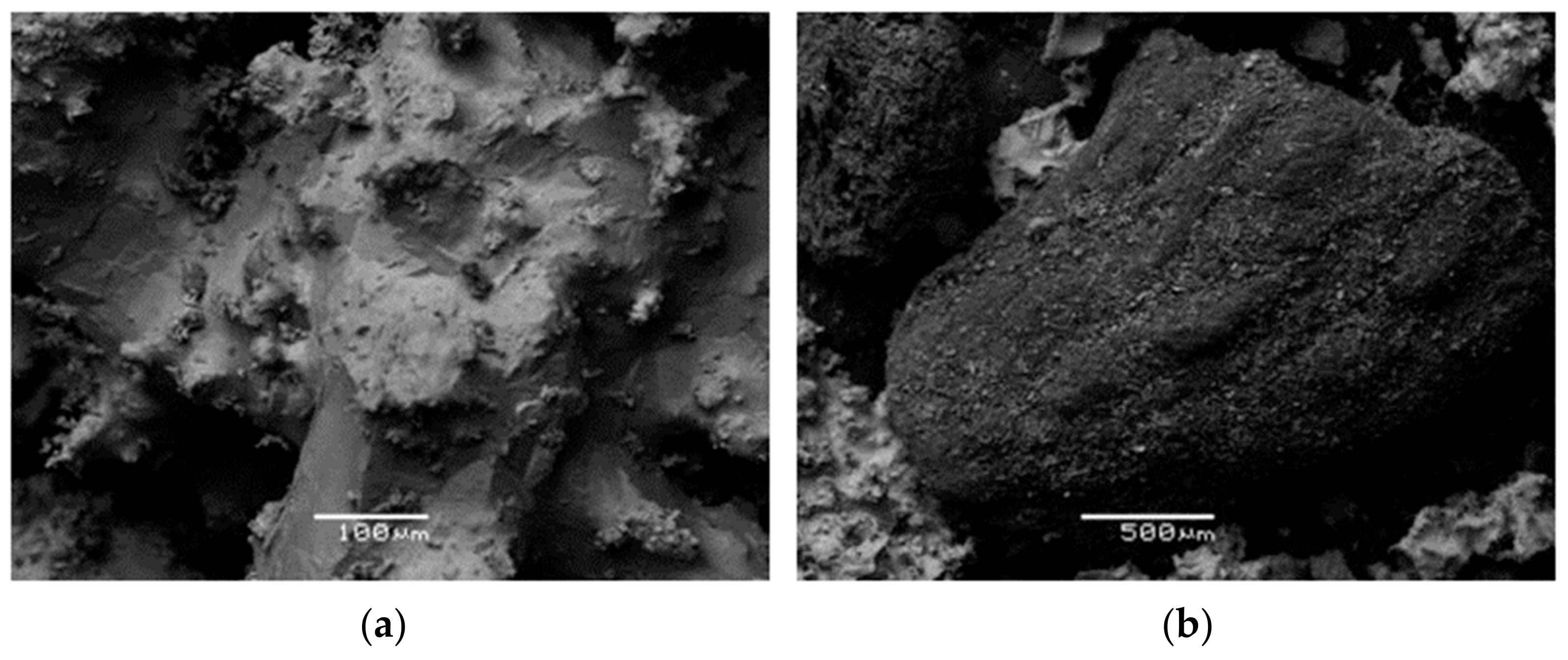 Sustainability 15 01642 g001