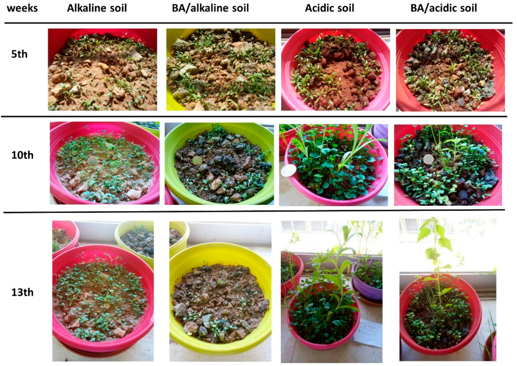 Sustainability 15 01642 g004