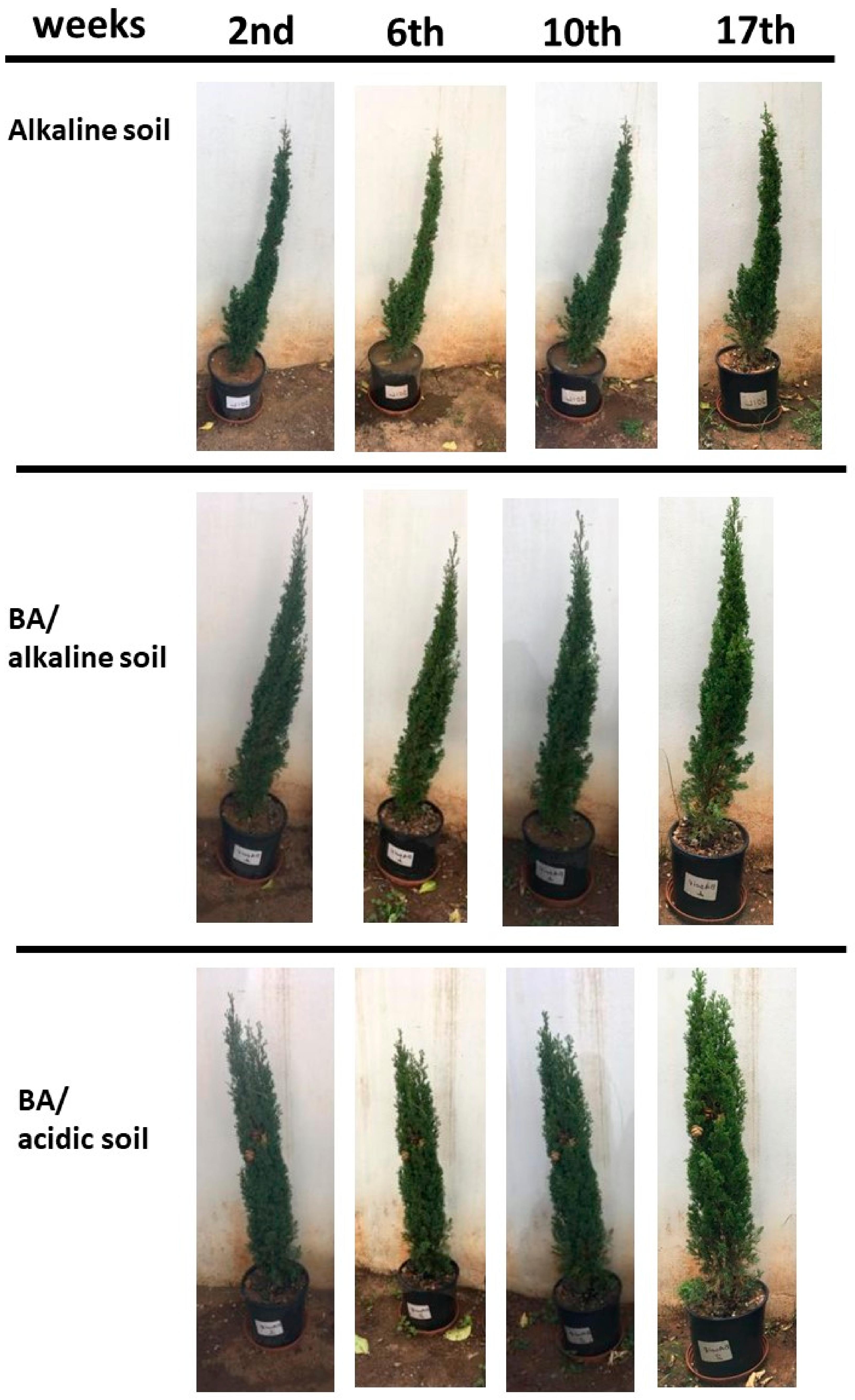 Sustainability 15 01642 g005