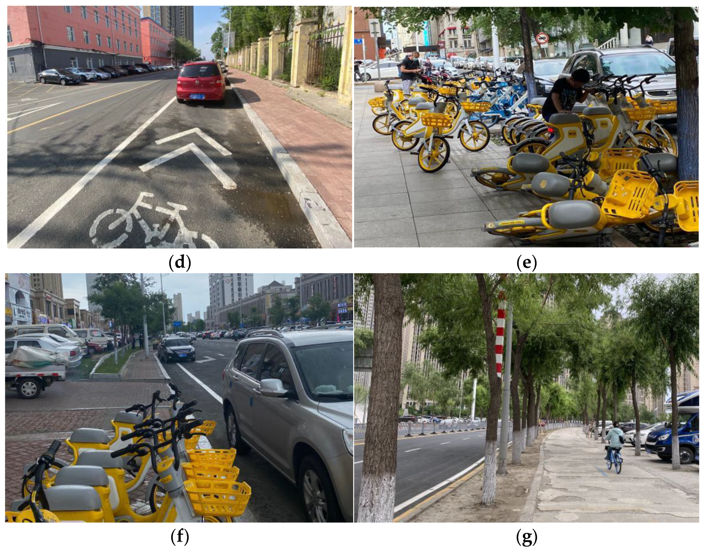 Sustainability 15 01670 g002b