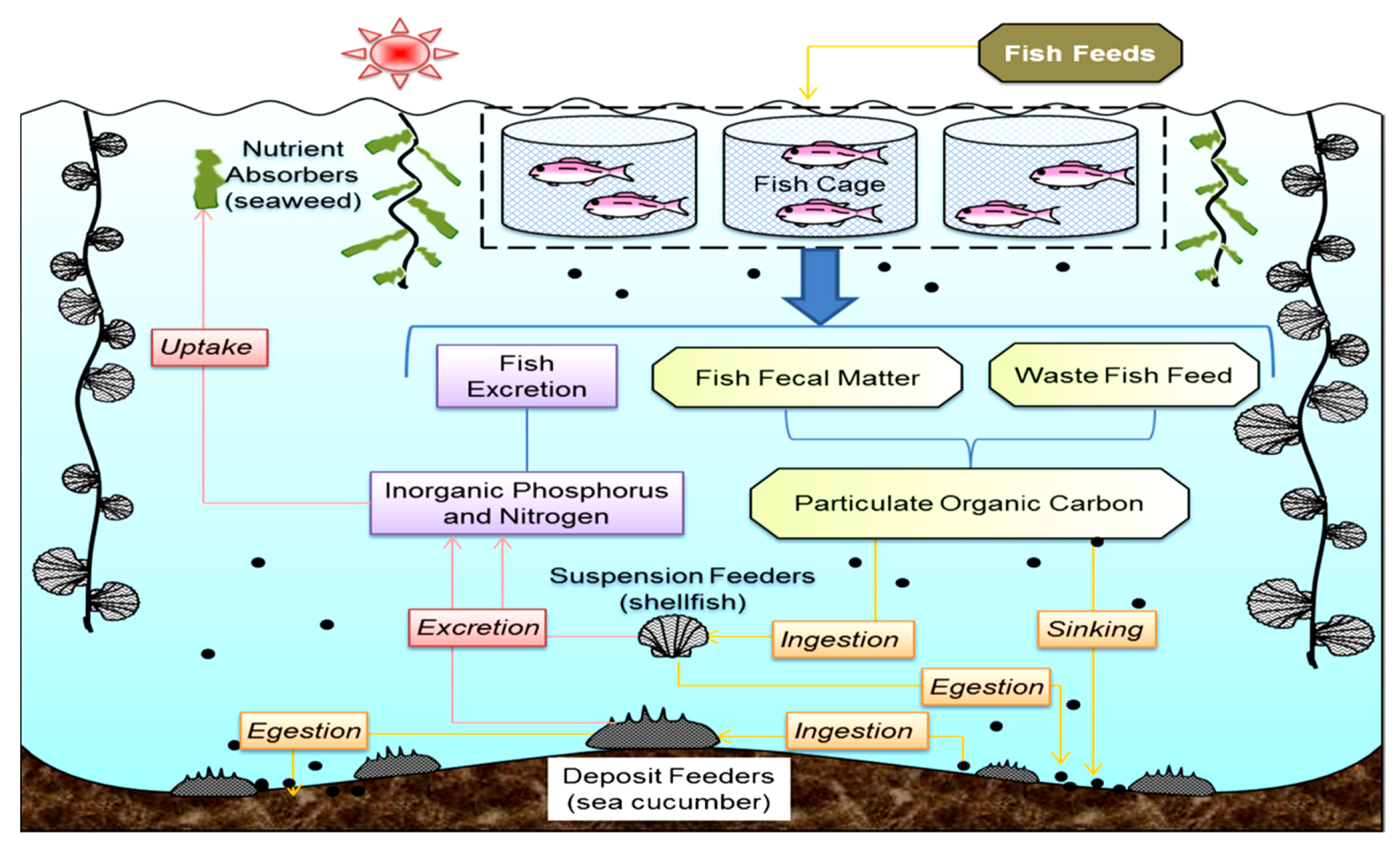 Sustainability 15 01679 g008 Sustainability 15 01679 g008