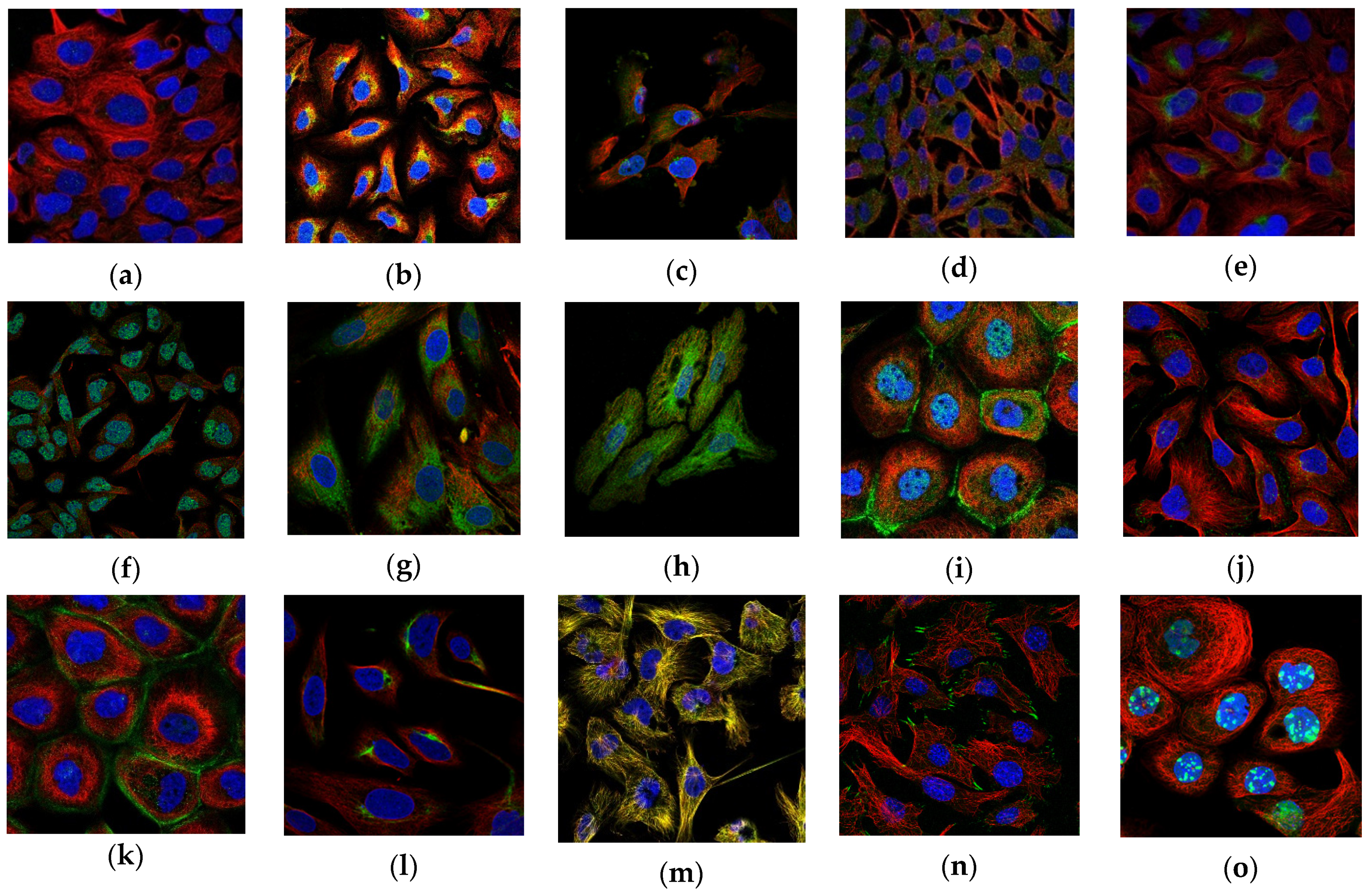 Sustainability 15 01695 g002a Sustainability 15 01695 g002a