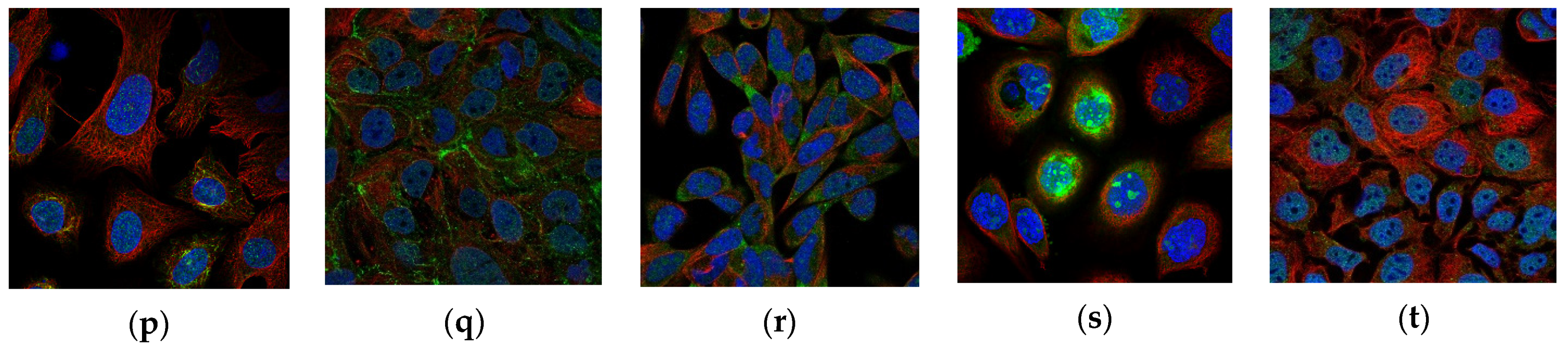 Sustainability 15 01695 g002b Sustainability 15 01695 g002b