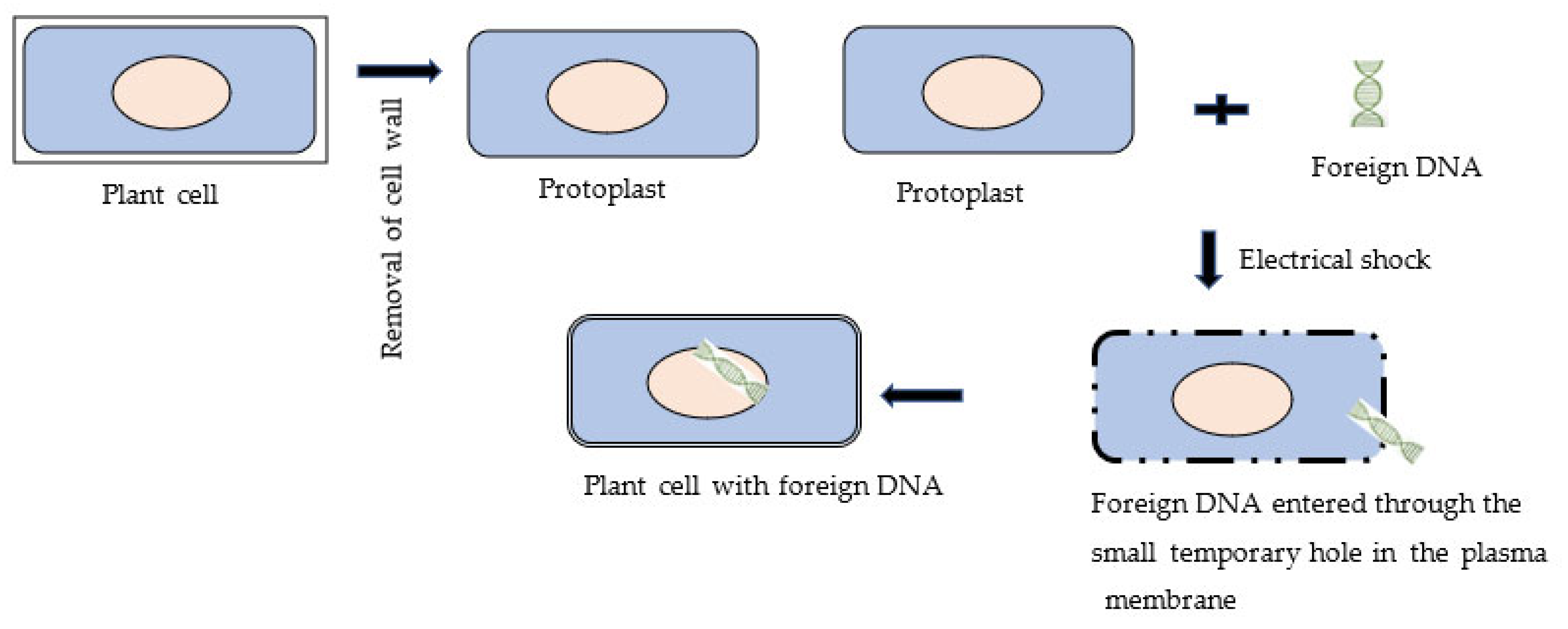 Sustainability 15 01722 g003