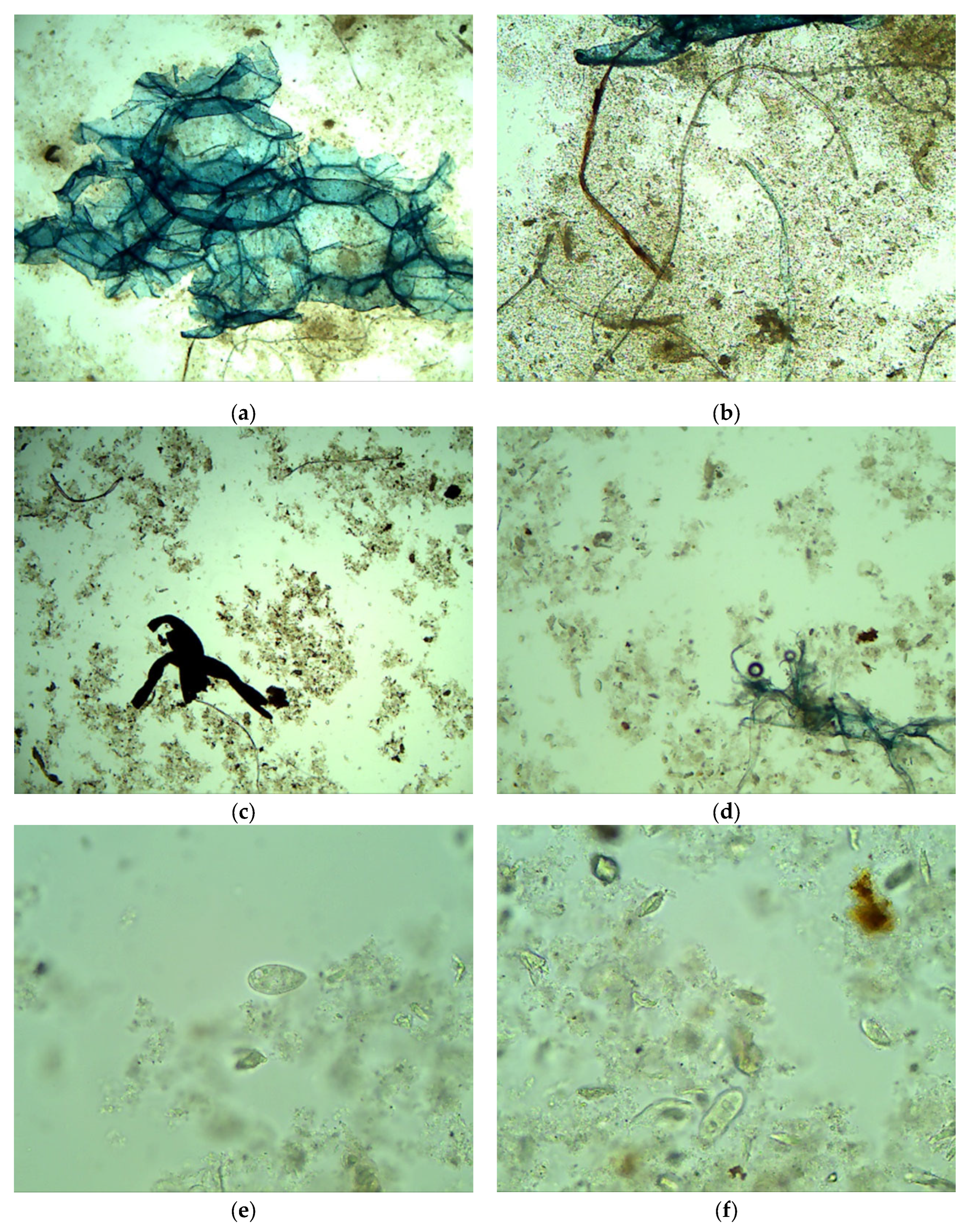 Sustainability 15 01811 g004a Sustainability 15 01811 g004a