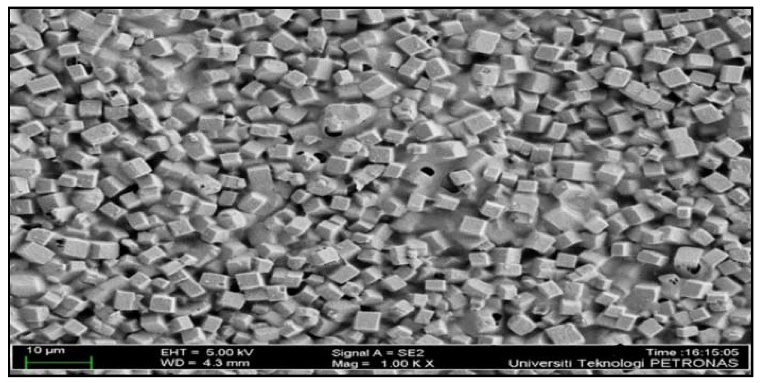 Sustainability 15 01856 g002