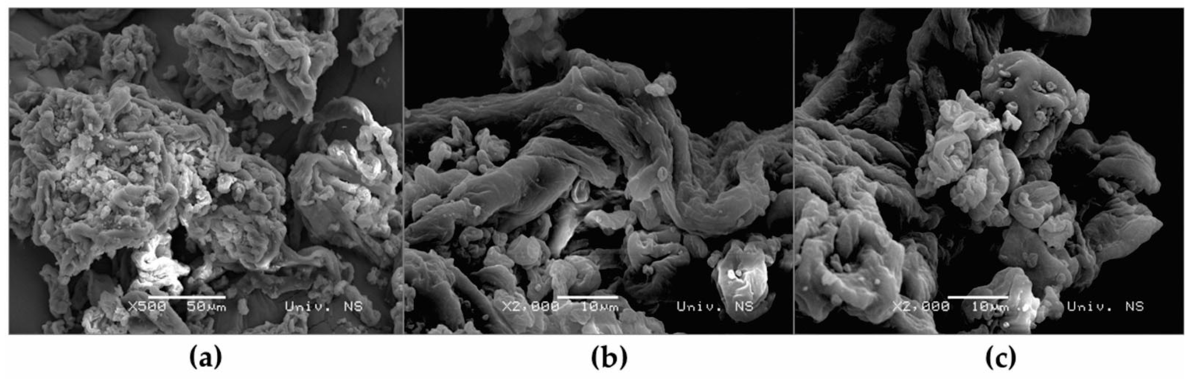 Sustainability 15 01887 g001 Sustainability 15 01887 g001