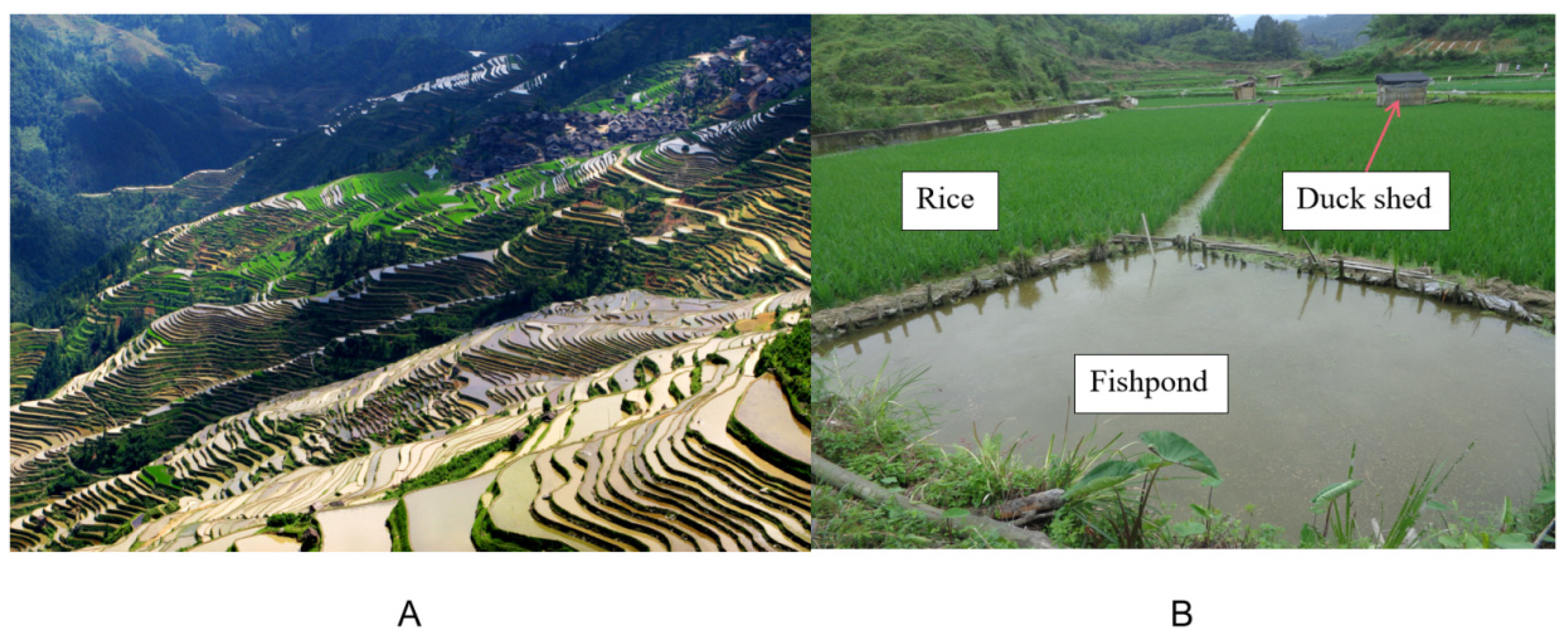 Sustainability 15 01910 g001 Sustainability 15 01910 g001