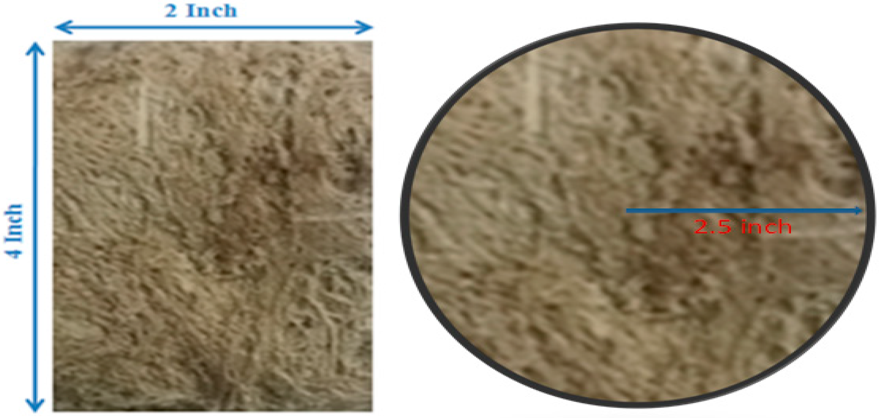 Sustainability 15 01958 g001 Sustainability 15 01958 g001