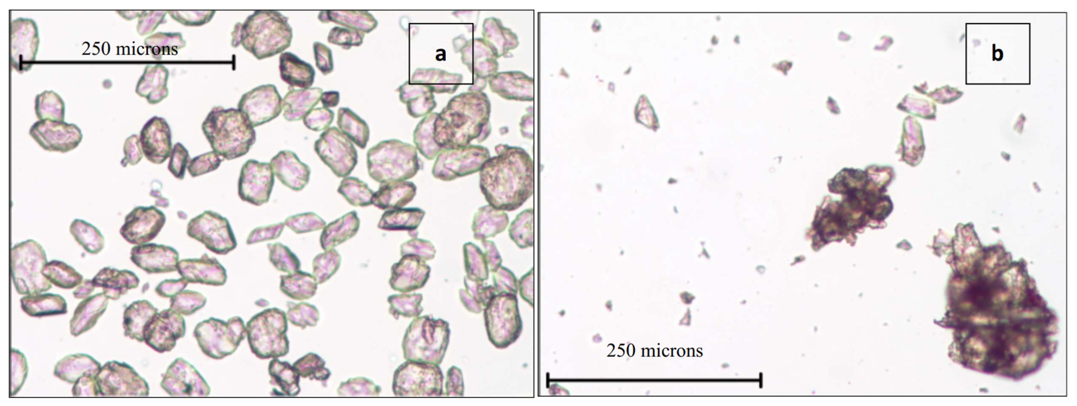 Sustainability 15 01977 g001 Sustainability 15 01977 g001