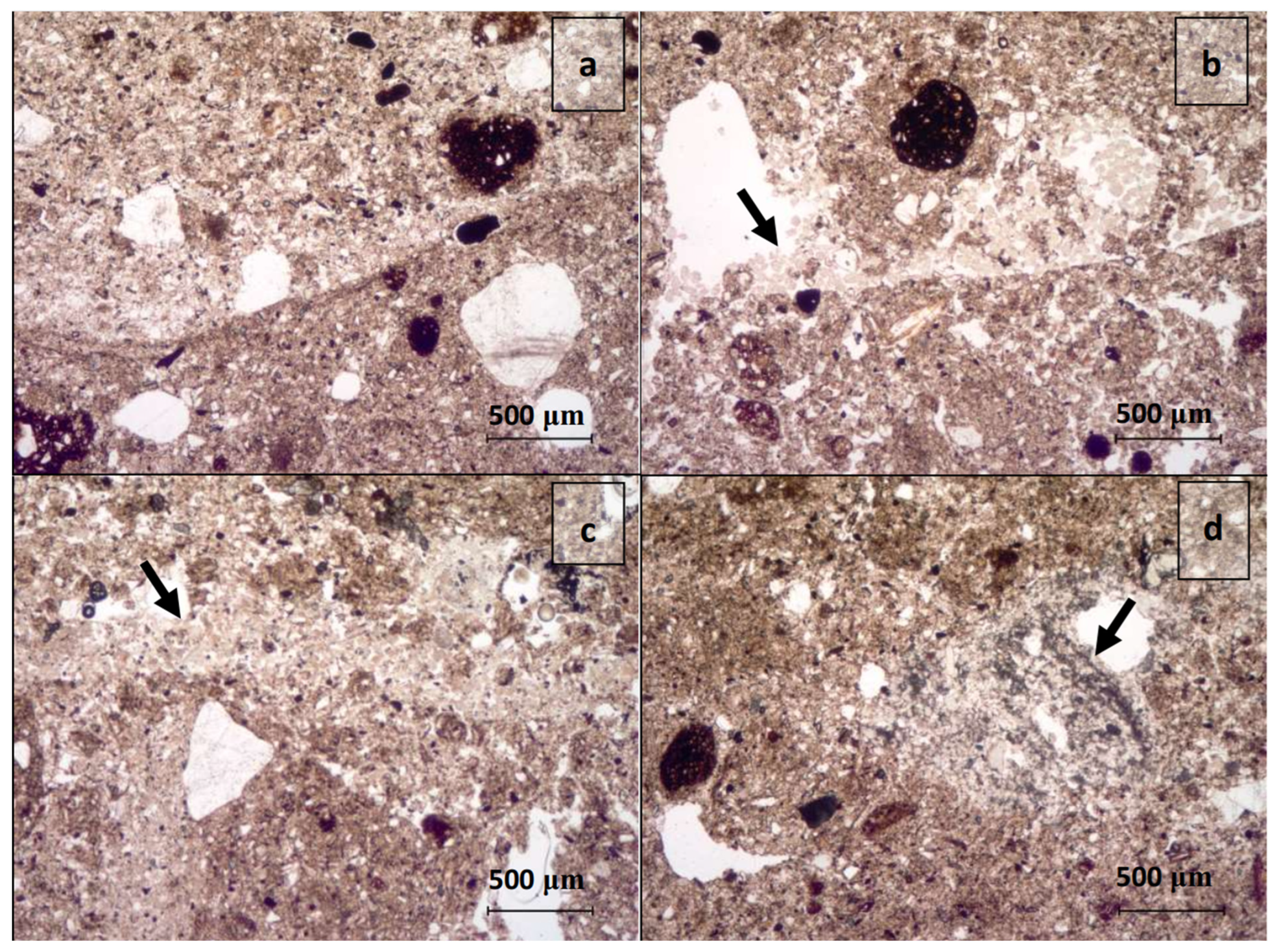 Sustainability 15 01977 g006 Sustainability 15 01977 g006